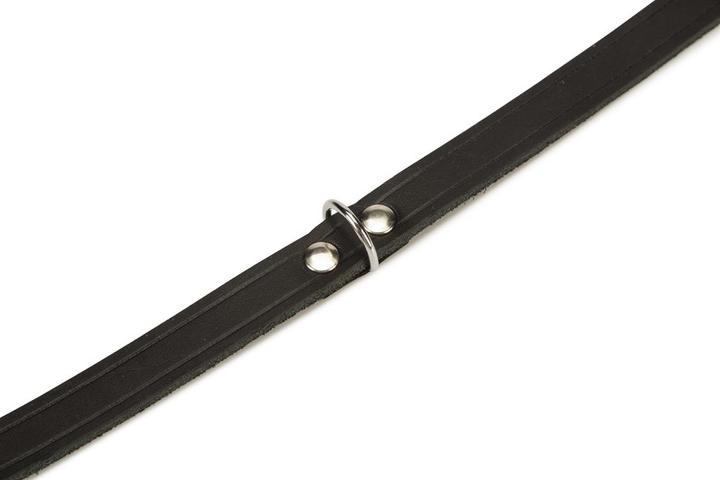 Produktbild Beeztees BZ LEDERHALSBAND SCHWZ 47X18 (47, Hund, Allgemein)