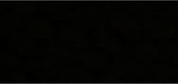 Produktbild Fun Factory Tiger G5 Black Line