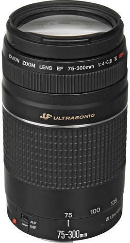 Image du produit Canon EF 75-300 mm f/4.0-5.6 USM III - Importation (Canon EF, Plein format)