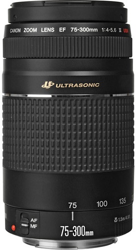 Image du produit Canon EF 75-300 mm f/4.0-5.6 USM III - Importation (Canon EF, Plein format)