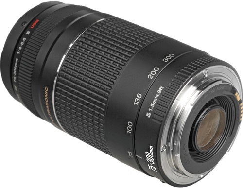 Image du produit Canon EF 75-300 mm f/4.0-5.6 USM III - Importation (Canon EF, Plein format)