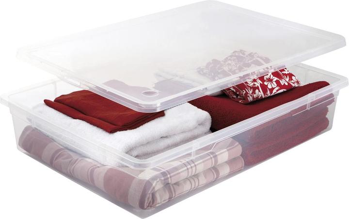 Image du produit Rotho Clair (78 x 56 x 17 cm, 55 l)