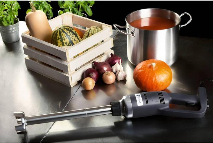 Produktbild Royal Catering Stabmixer Pürierstab Handmixer 500 Watt Edelstahl Profi Mixer Mixstab 400 mm