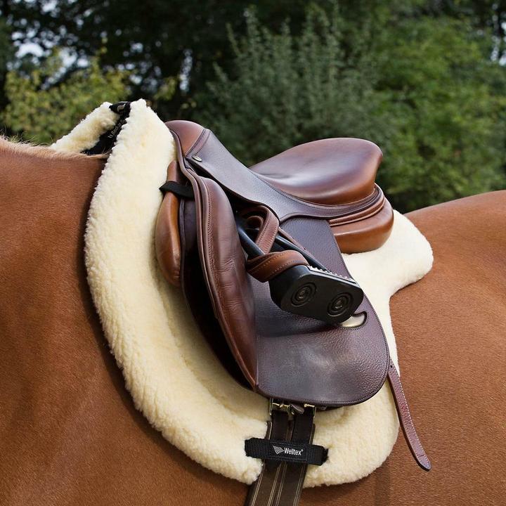 Produktbild Back on Track teddy