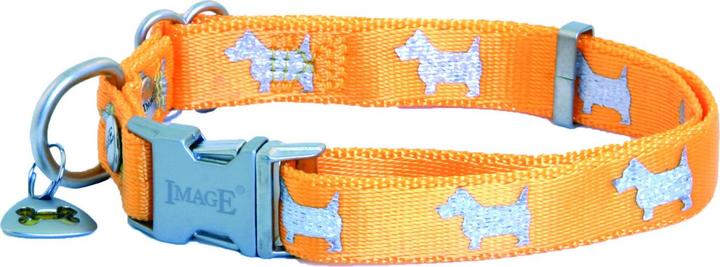 Produktbild Image Happy Angel (Hund, Allgemein, Spazieren)