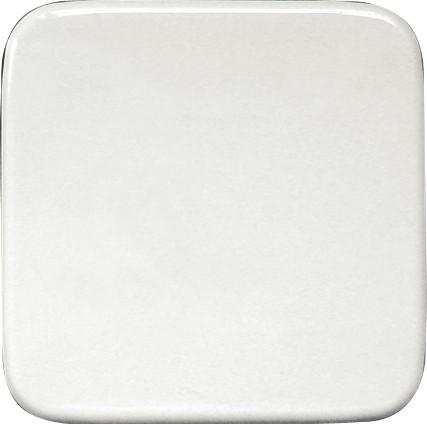 Actual product image Eltako Rocker