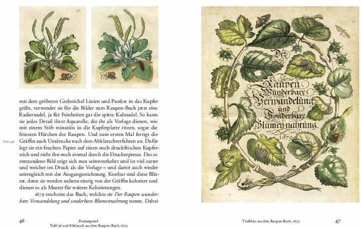 Produktbild Maria Sibylla Merians Reise zu den Schmetterlingen (Deutsch, Boris Friedewald, 2015)