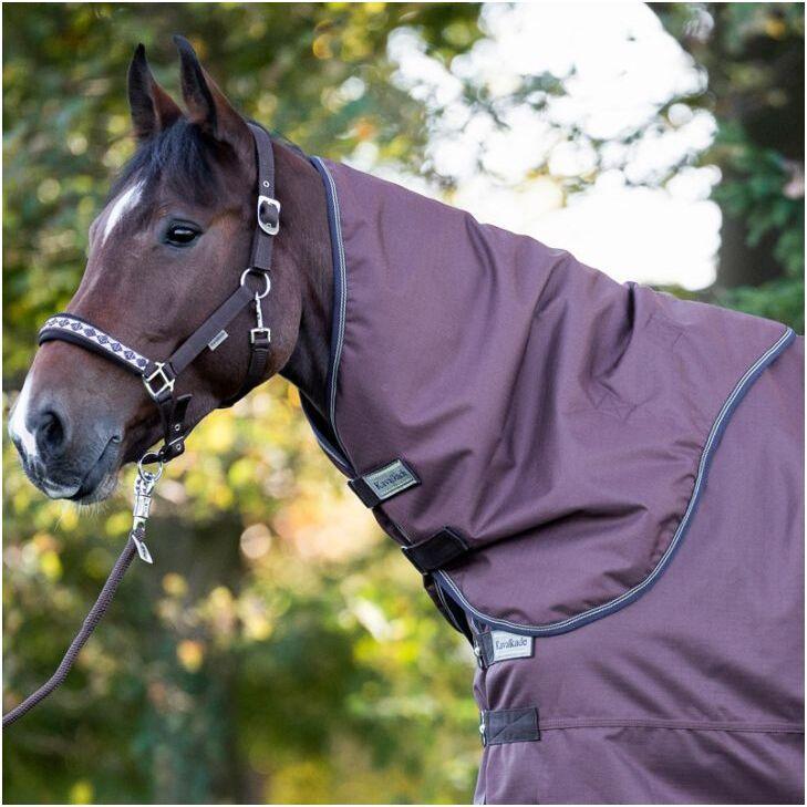 Kavalkade, Pferdedecke