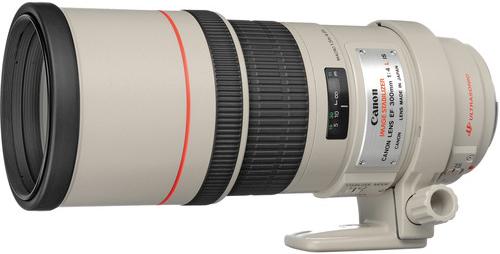 キヤノン　Canon EF 300mm F4 L IS USM Canon EF 300mm f/4L IS USM - kaufen bei Digitec
