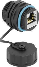 Actual product image Delock Coupling (Network coupling)