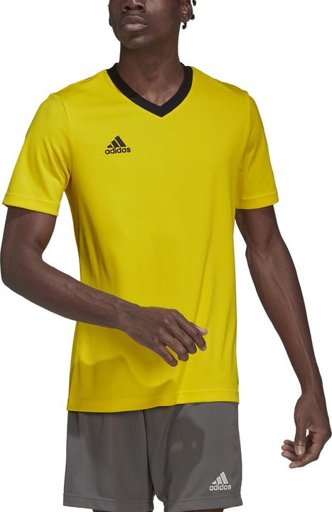 Produktbild adidas Entrada 22 Fussballtrikot Herren (XL)