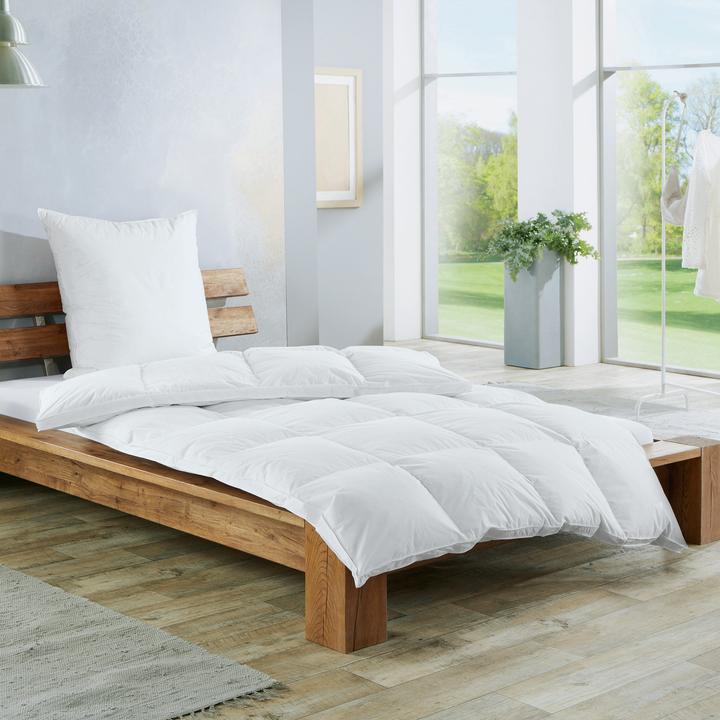 Image du produit Redbest Minneapolis (960 g, Duvet, 155 x 200 cm)