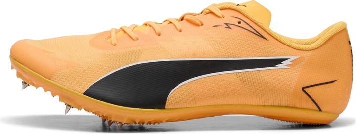 Image du produit Puma evoSPEED Brush 7 (37)