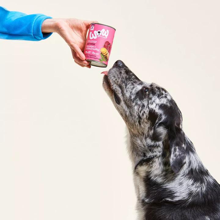 Produktbild WOW Adult, Wild mit Süsskartoffeln (Adult, 1 Stk., 461 g)