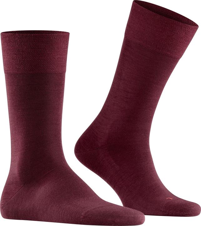 Produktbild Falke Berlin Sensitive (Einzelpack, 39 - 42)