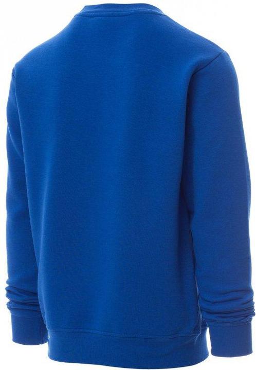 Actual product image Payper New Orleans crew neck sweatshirt (L)