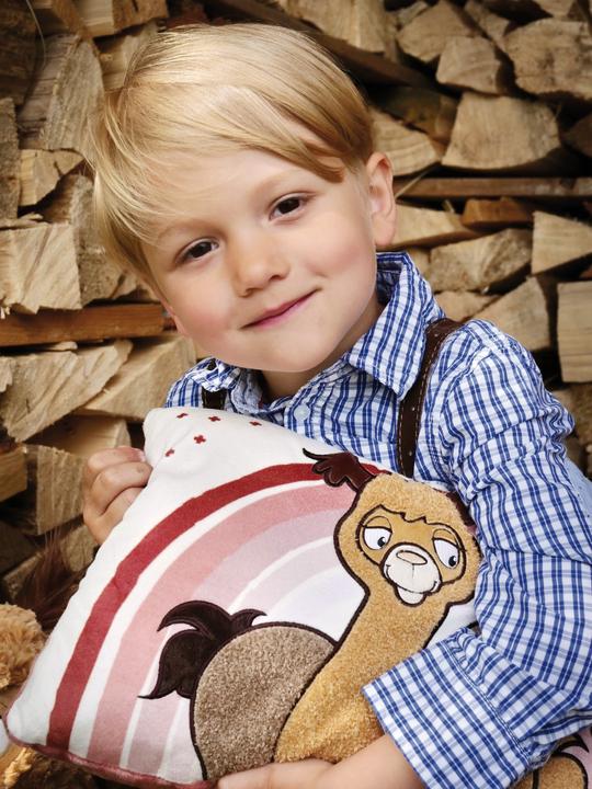 Actual product image NICI Cushion Al & Chic Paka (15 x 25 x 40 cm)