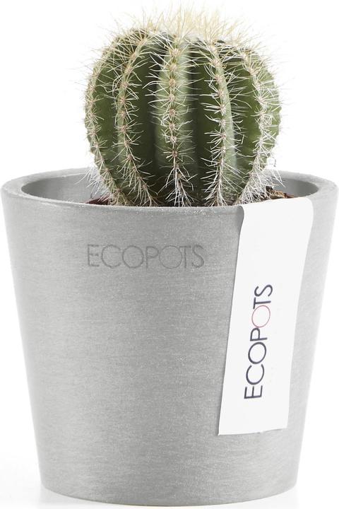 Produktbild Ecopots Amsterdam Mini (8 cm)