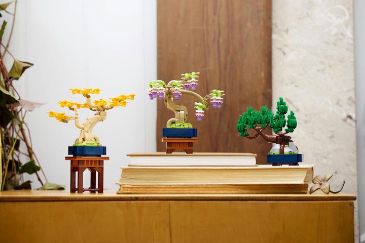 Produktbild LEGO Mini-Bonsais Set (10373, LEGO Botanical)