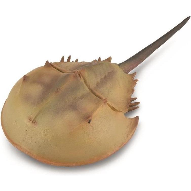 Collecta Figur Pfeilschwanzkrebs XL Figur (004-88905)