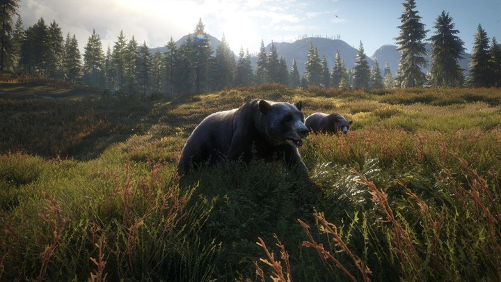 Produktbild THQ PS4 The Hunter Call of the Wild (PS4, FR, EN)