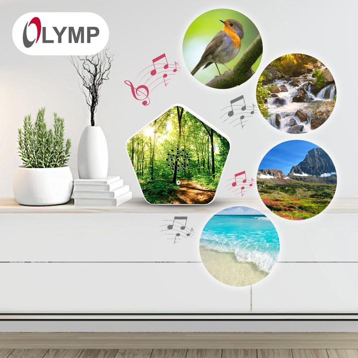 Produktbild Olympia Olymp Nature BOX