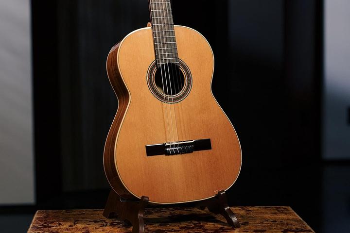 Actual product image Ortega Traditional Series R220 Classical Guitar (Classical guitar, Back and sides: Mongoy wood, Edgings: Maple, Fingerboard: Rosewood, Neck: Mahogany, Top: Solid North American cedar)