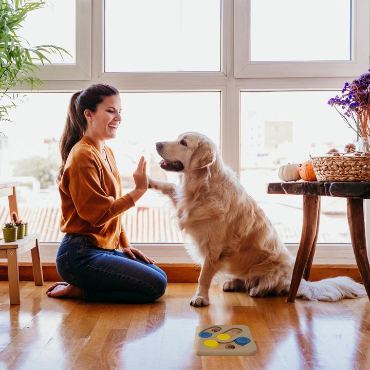 Produktbild Relaxdays Hunde-Intelligenzspielzeug (Intelligenzspielzeug Hund)