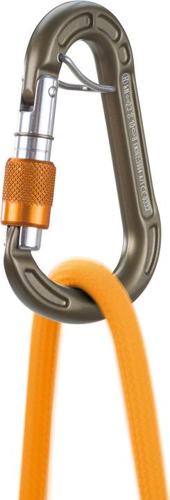 Actual product image Climbing Technology Concept SGL HC Carabiner