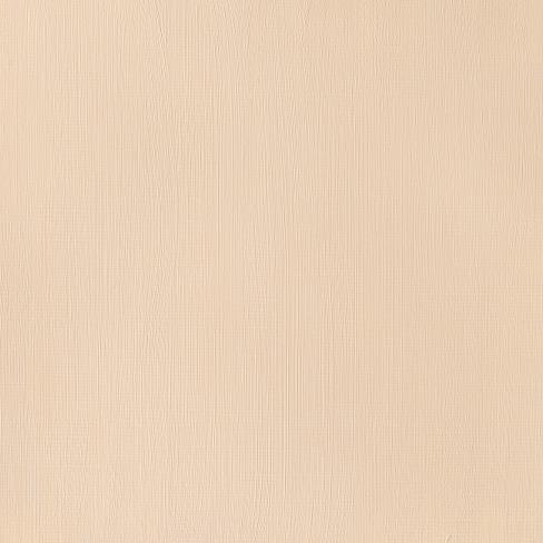 Actual product image Winsor & Newton Galeria Acrylic 120Ml Raw Sienna Opaque 553 (Raw Sienna Opaque, 120 ml)