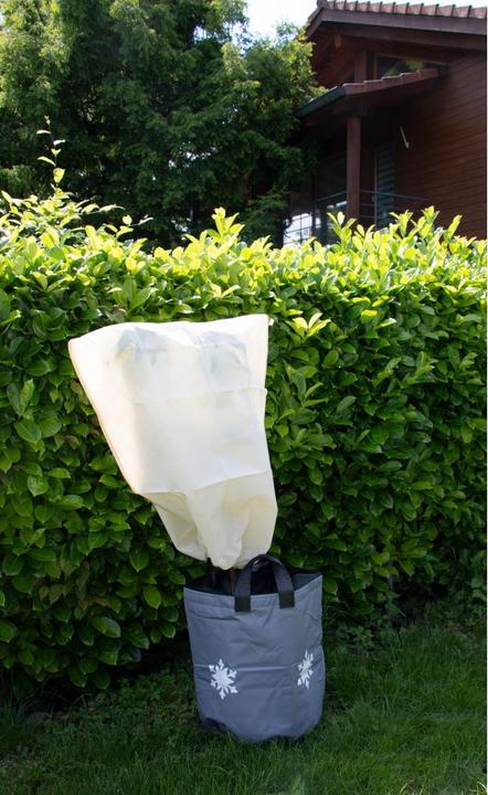 Produktbild Colibri Frostschutz Topf grau mit Motiv