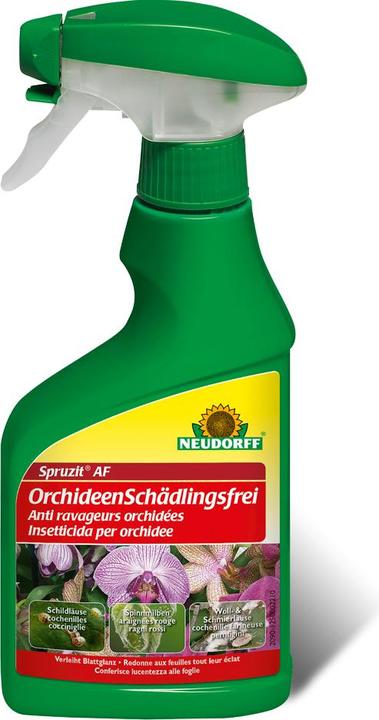 Actual product image Neudorff Spruzit AF Orchid Pest Control (Flora)