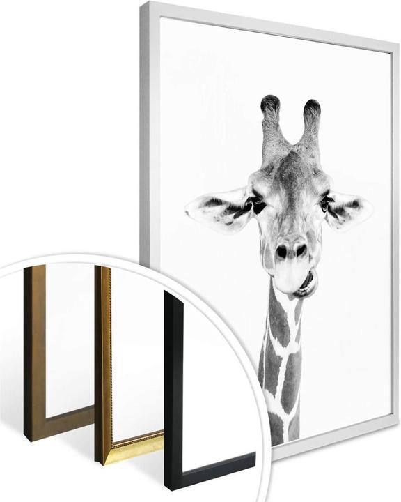 Produktbild Trenddeko Happy Giraffe (40 x 50 cm)