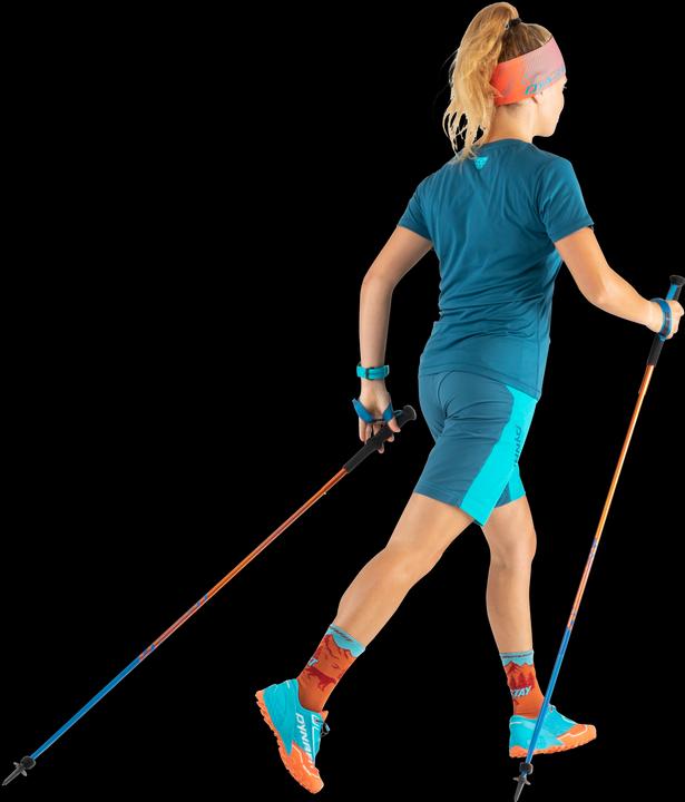 Actual product image Dynafit Traverse T-Shirt (36, S)