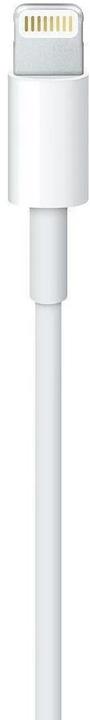 Actual product image Apple USB A – Lightning (1 m, USB 2.0)