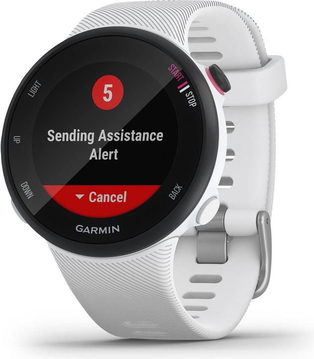 Actual product image Garmin Forerunner 45S (39.50 mm)