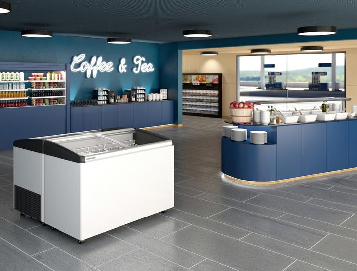 Actual product image Liebherr EFI 4453 (Stand-alone, 302 l)