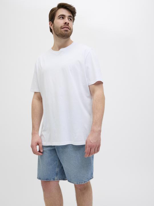 Produktbild Jack & Jones Jjitony Jjoriginal Shorts Sbd 210 Sn Pls (42)