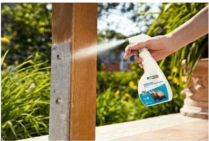 Actual product image Windhager Marten stop (500 ml)