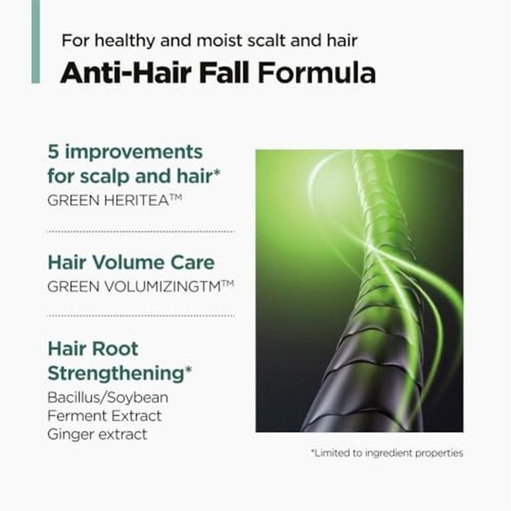 Actual product image Amos Professional - The Green Tea Shampoo Refresh - Green - 500 ml (Lice shampoo, 500 ml)