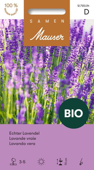 Actual product image Samen Mauser BIO Real Lavender (Herb seeds)