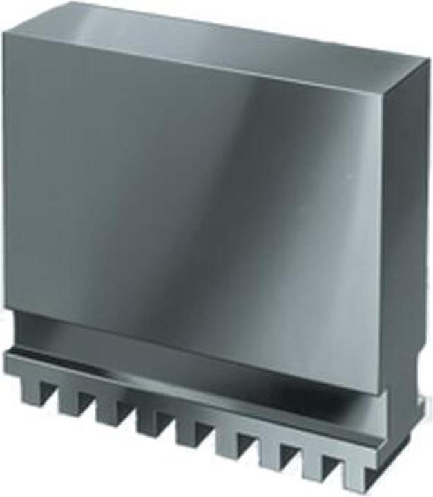 Röhm Blockbacke BL in Sonderhöhe, Grösse 250, 3-Backensatz, ungehärtet, 16MnCr5, Hoehe 100