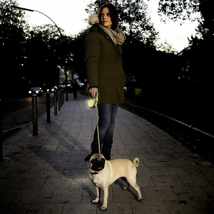 Produktbild Flexi New Neon (S, Hund, Spazieren)