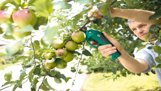 Produktbild Bosch Home & Garden Ciso