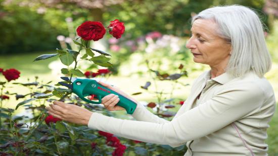 Produktbild Bosch Home & Garden Ciso