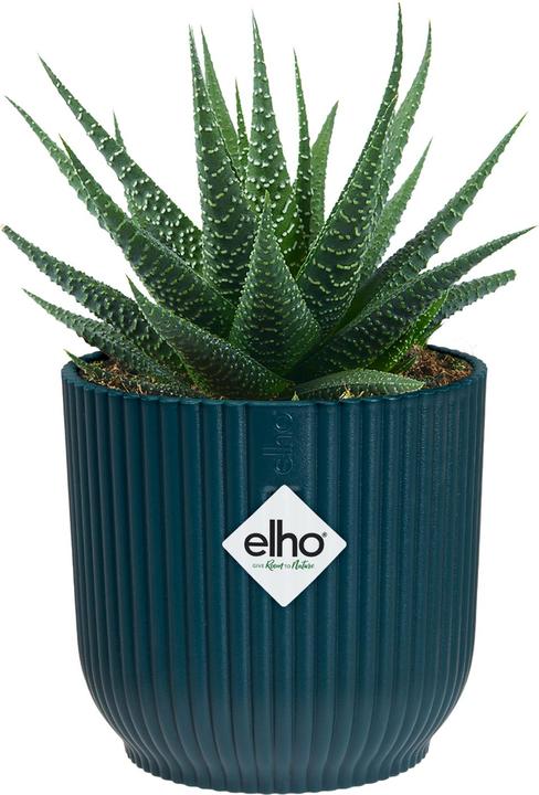 Produktbild Elho Blumenschale (7 cm)