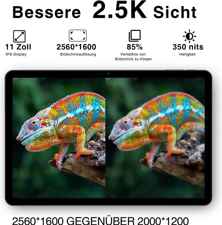 Actual product image Doogee T30 Pro (Tablette 4G - 11", 256 Go, 8 Go RAM) Gris (4G, 11", 256 GB, Grey)