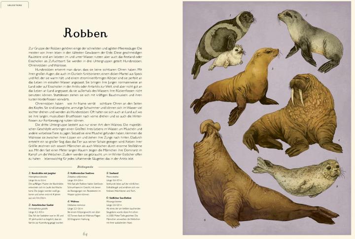 Produktbild Das Museum des Meeres (Deutsch, Loveday Trinick, Teagan White, 2021)