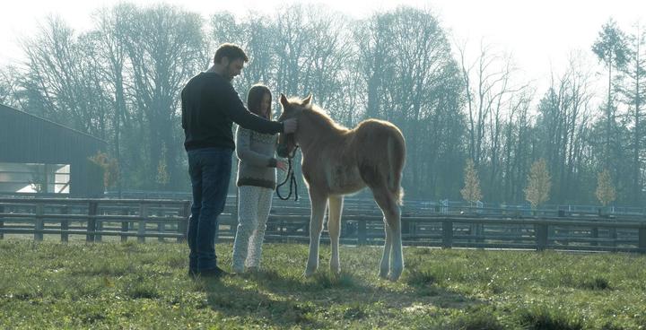 Produktbild Zoe & Sturm (DVD, 2020, Deutsch)