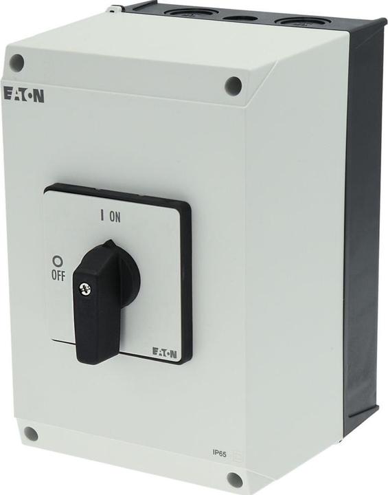 Actual product image Eaton Switch 100A 1-pole